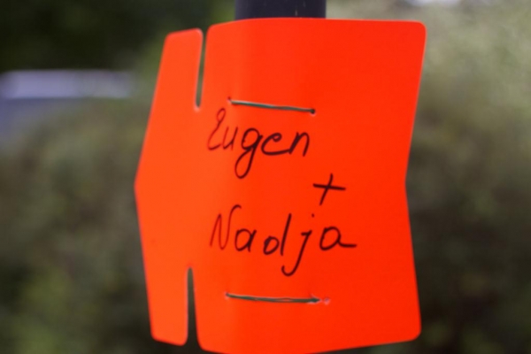 Hochzeit Eugen und Nadja